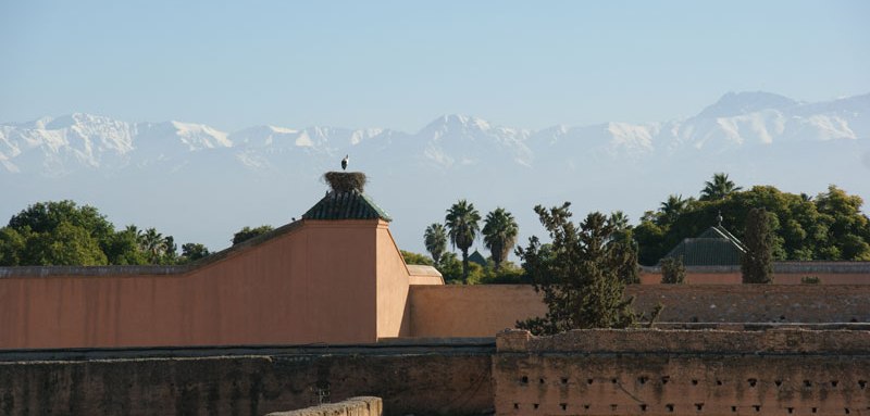 Activités à marrakech avec le Riad Azenzer, riad de charme