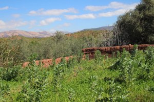 Randonnée dans la vallée de Ouirgane avec Aazab Aventure et Riad Azenzer