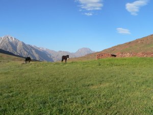 Mini trek dans la vallée du Zat et le plateau du Yaggour